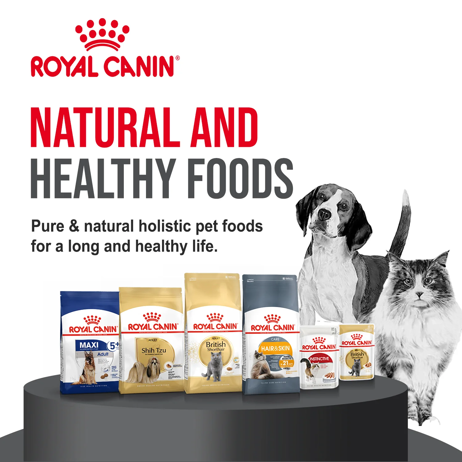 Welcome to Our Store